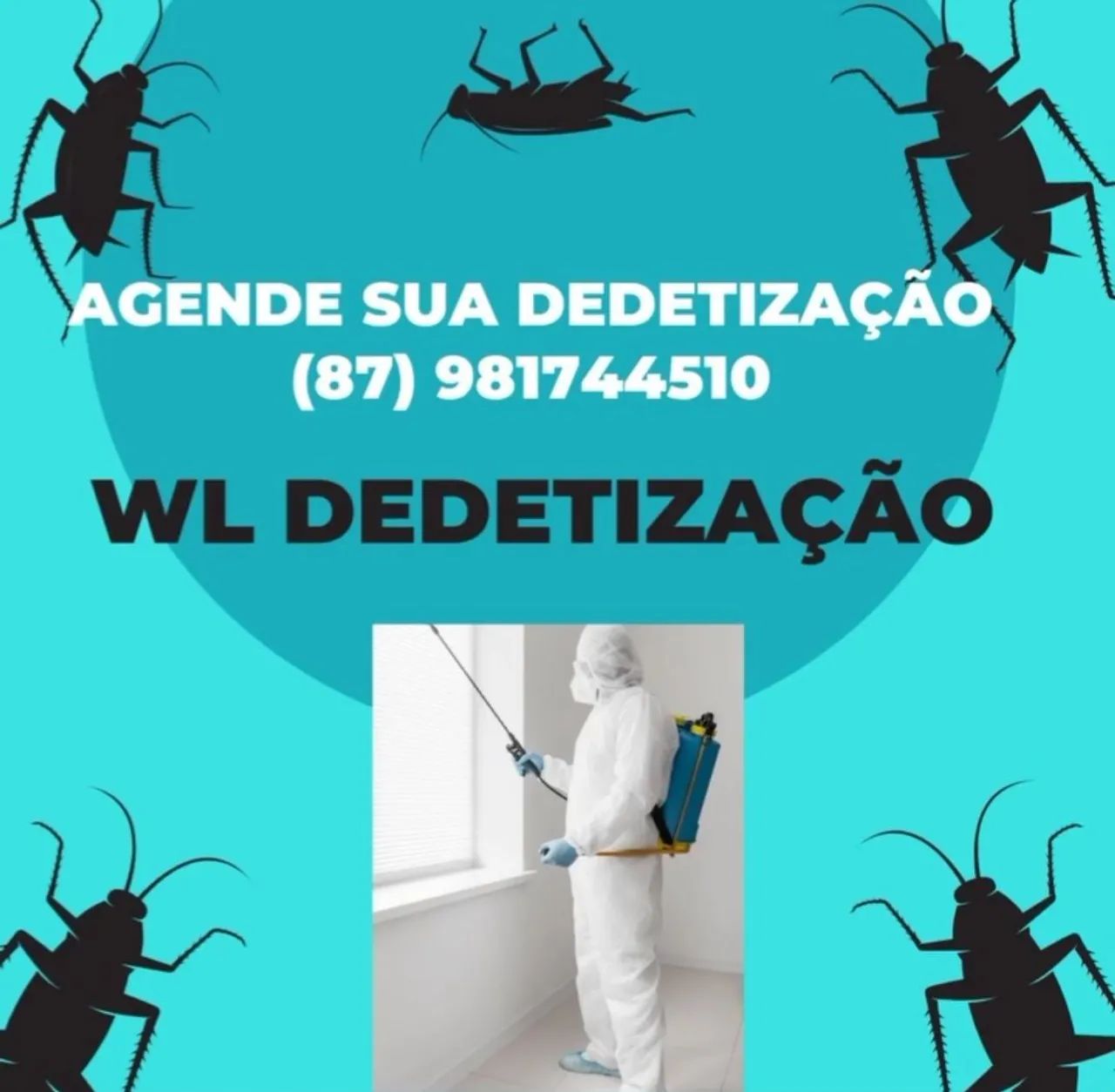 SERVIÇO DE DEDETIZAÇAO  - Foto 3