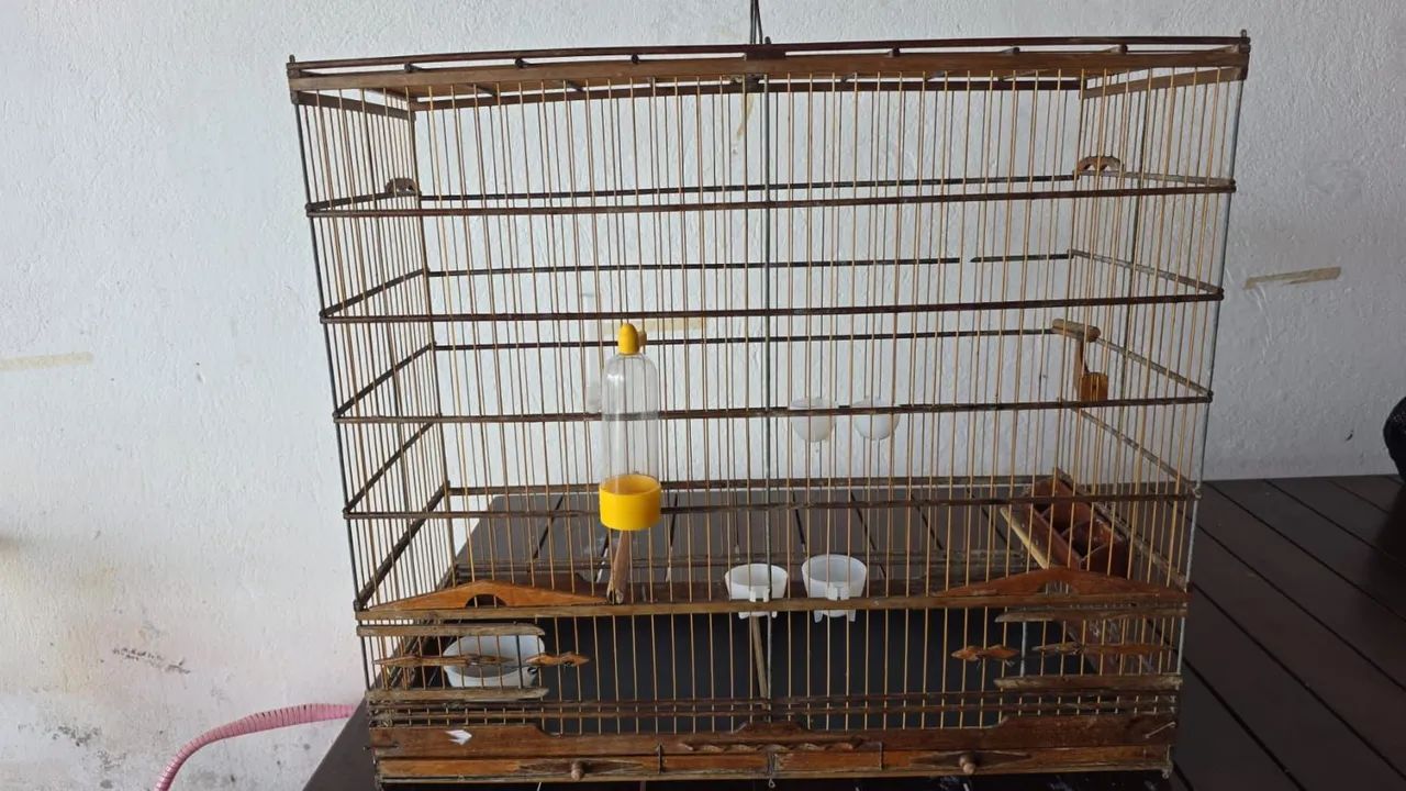 Gaiola - Foto 2
