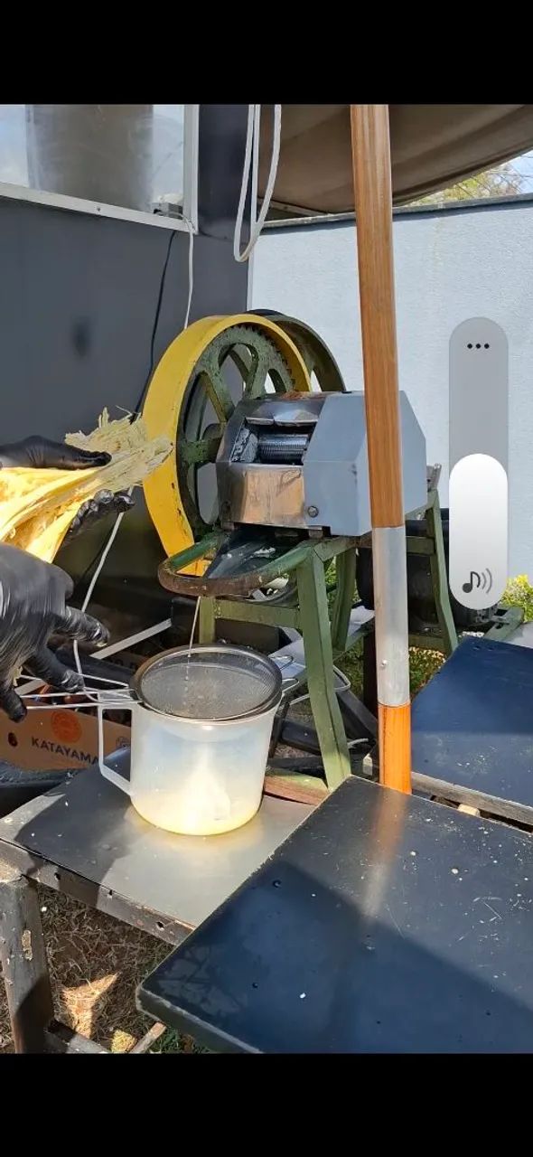 Moedor de cana botini  - Foto 6