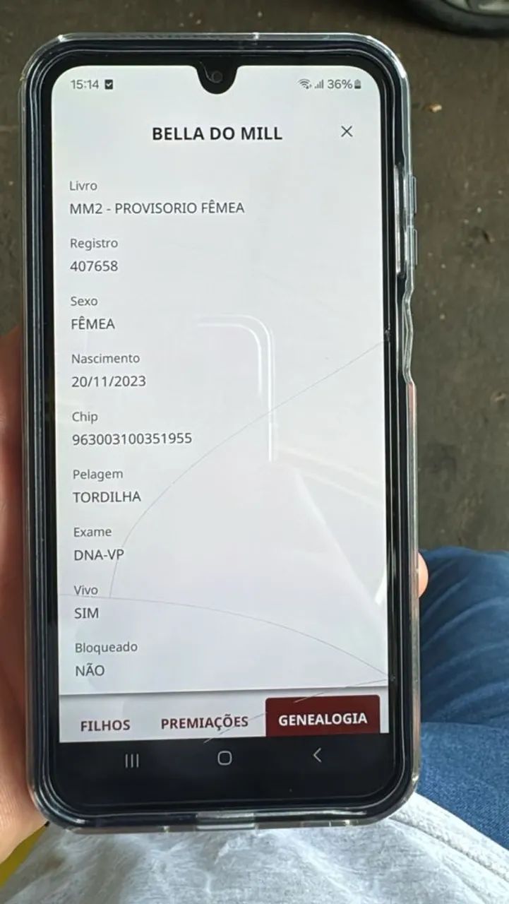 Potra controlada - Foto 2
