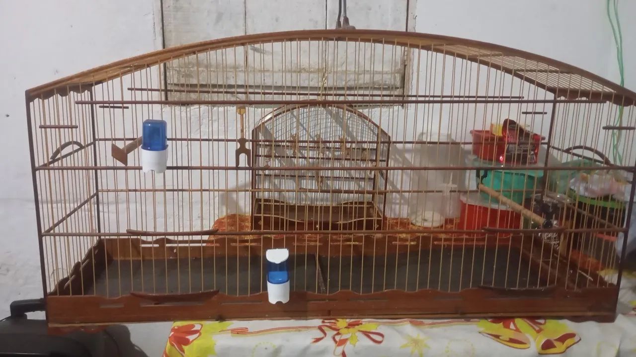 Voador malha de trinca  - Foto 2