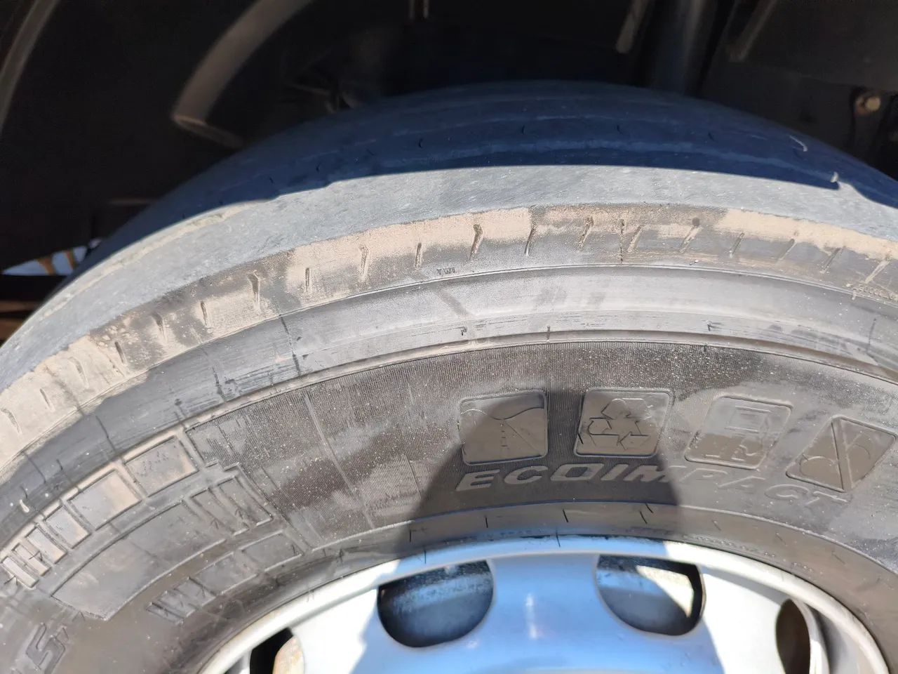 Vende-se conjunto - cavalinho Ford cargo  - Foto 5