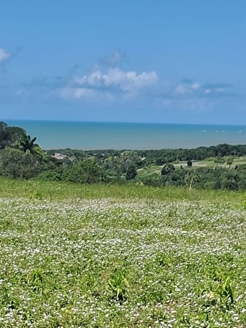 Lotes em Praia Bela ?  - Foto 4