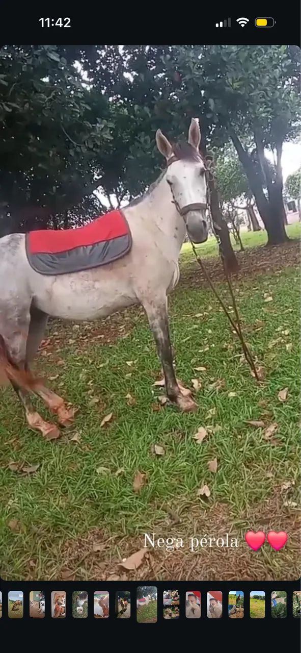 Vendo  - Foto 4