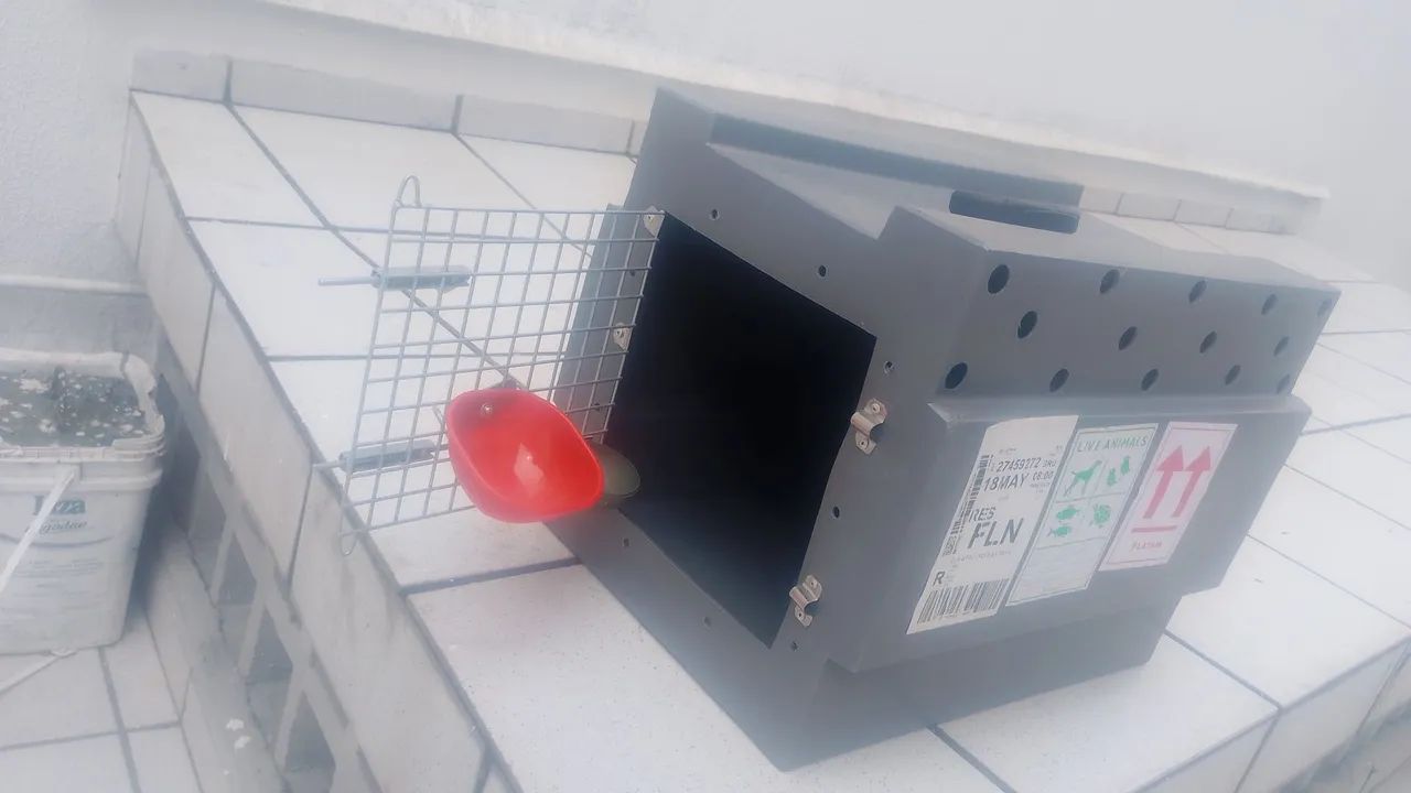 Caixa de transporte para pet