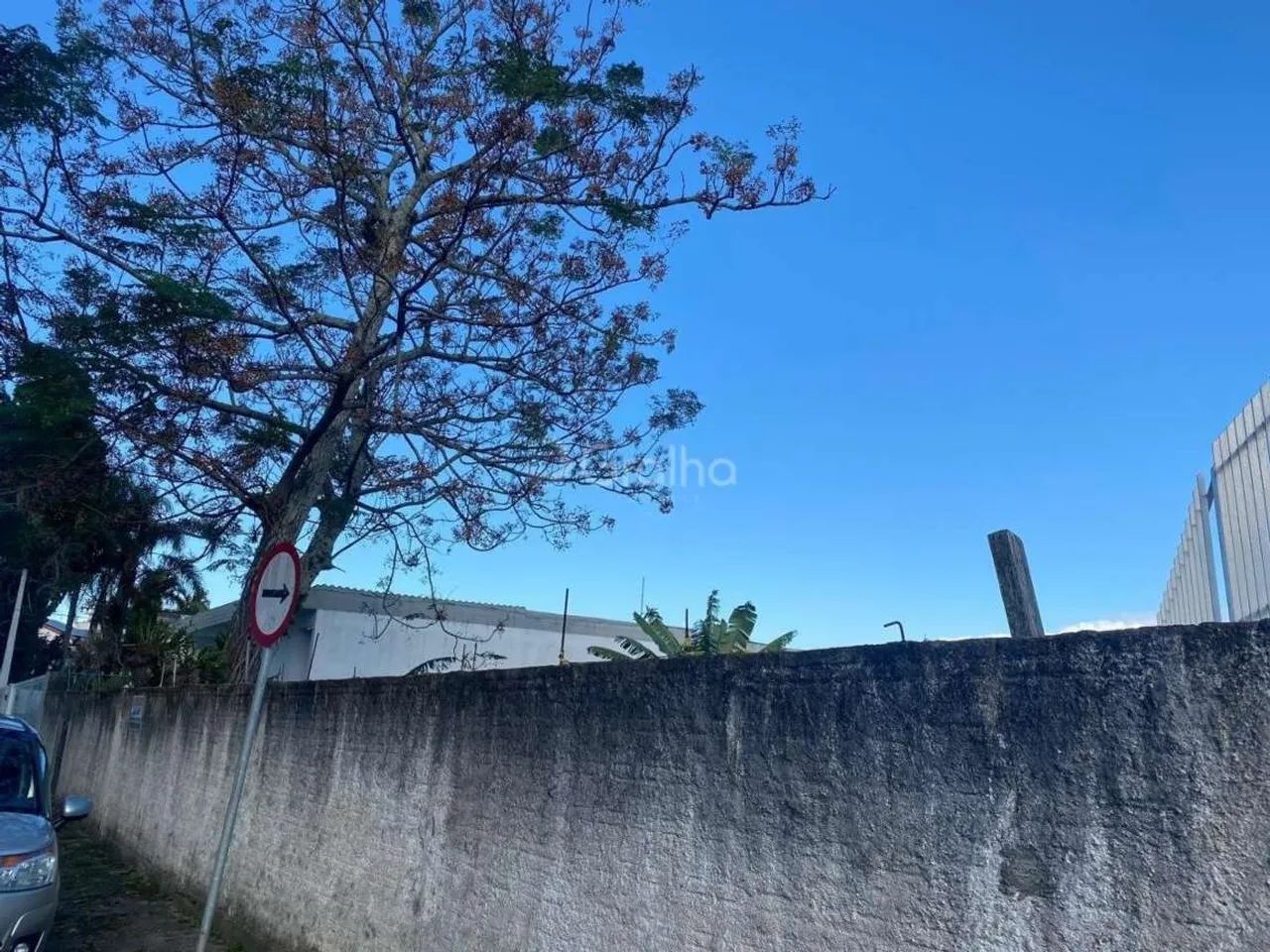Terreno para Venda em Florianópolis, Bom Abrigo - Foto 5