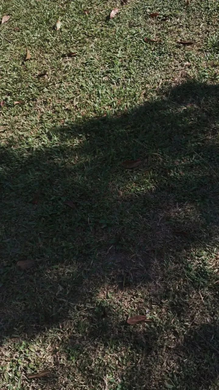 Vendo sítio em Itaboraí com 10.000m² - Foto 4