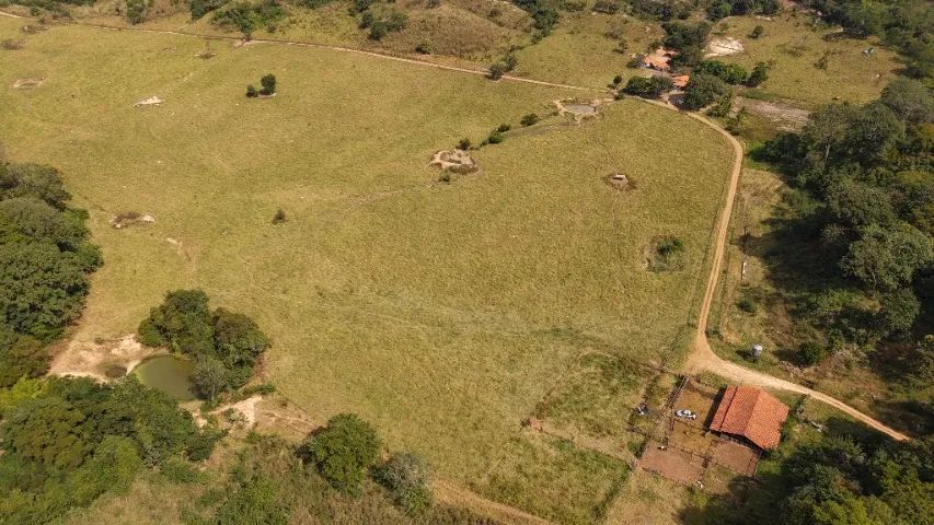 Fazenda para Pecuária 241 hectares - Foto 4