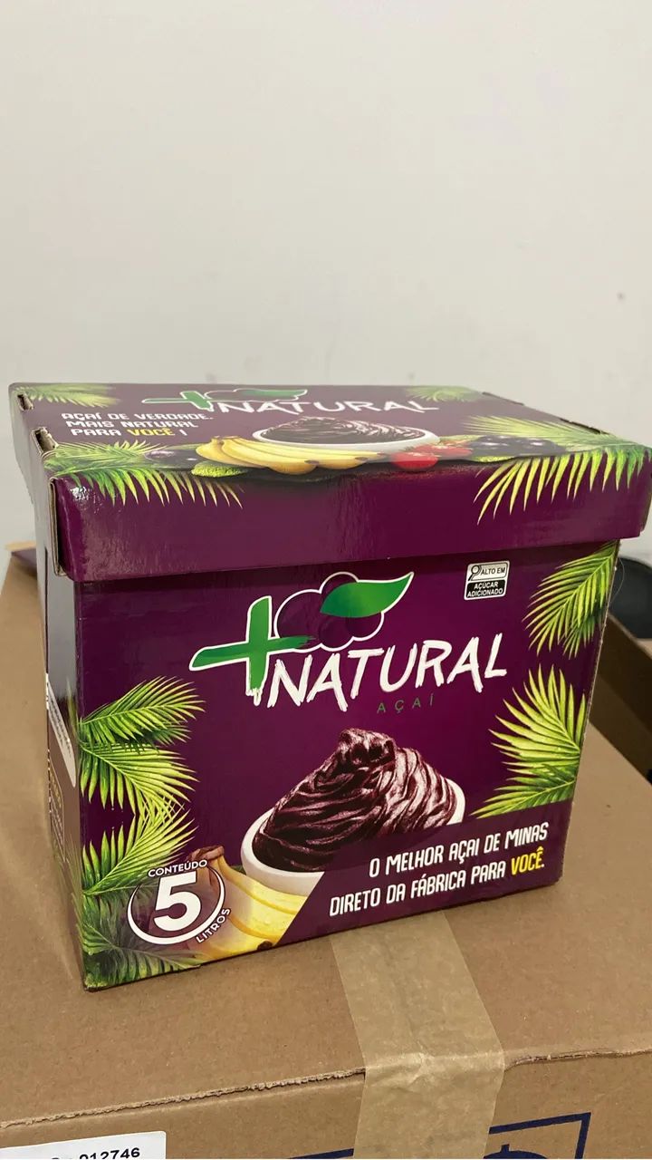 Creme de açaí premium 10 litros