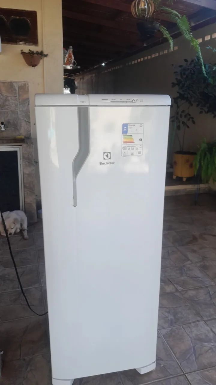 Vendo baratinho semi nova ELETROLUX RE31 