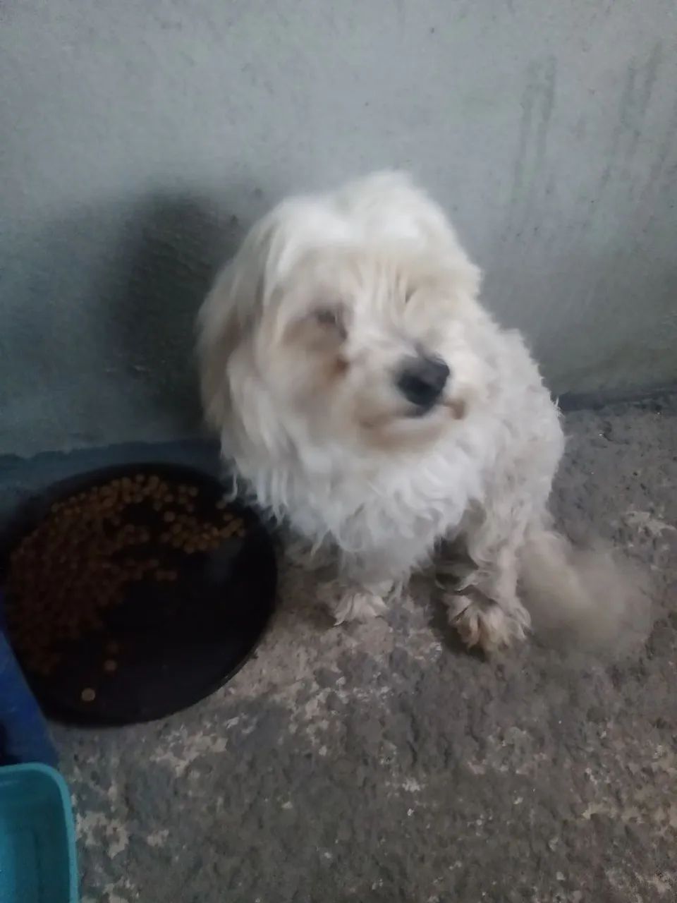 Doação  - Foto 4