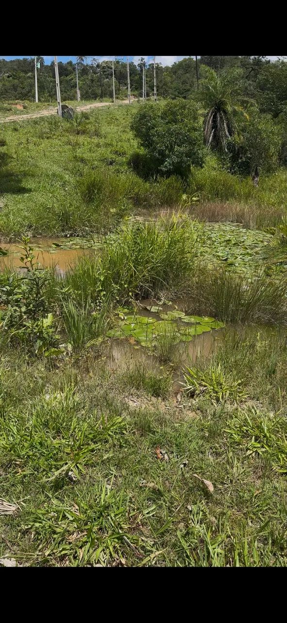 Sítio/chácara lote em Ravena  - Foto 5
