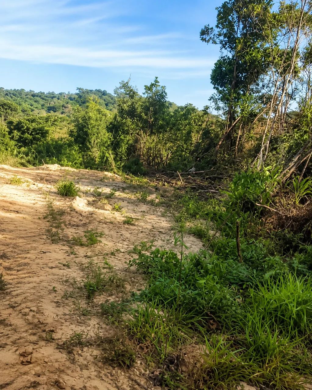 CHÁCARA À VENDA - SERRINHA | BOM JESUS DO AMPARO/MG  - Foto 2