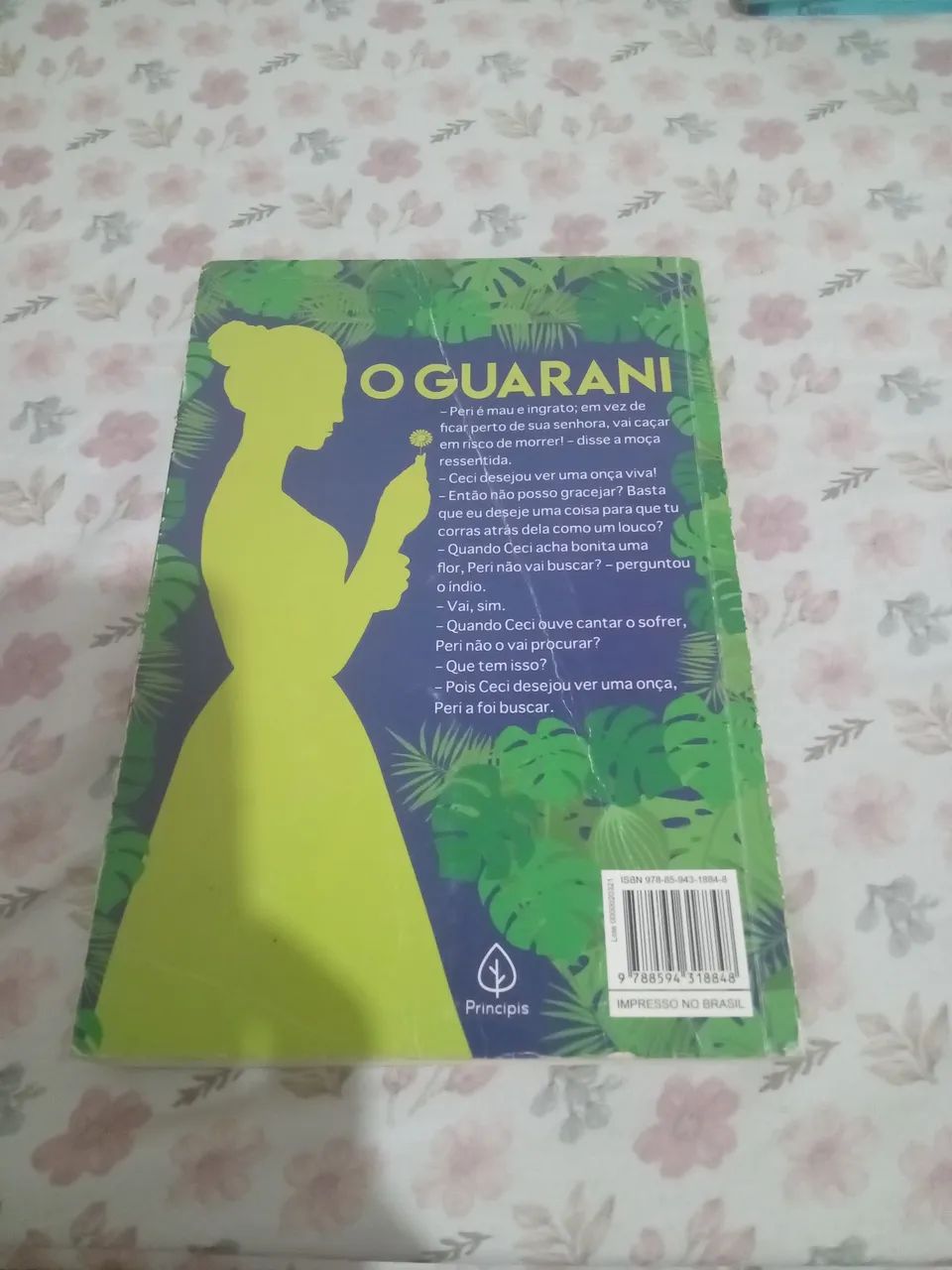 O Guarani - Foto 3