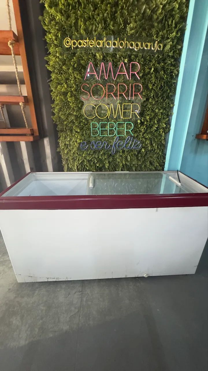 FREEZER EXPOSITOR 110v