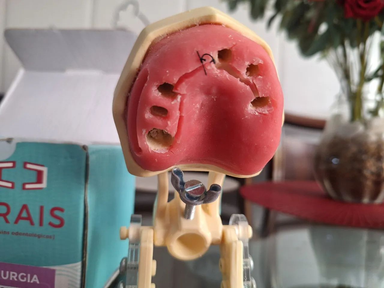 Manequim de Cirurgia Orais - Foto 3
