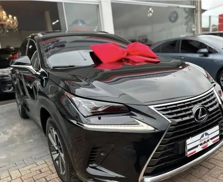 Lexus NX-300 H Luxury 2.5 16V Aut., foto 3 de 11