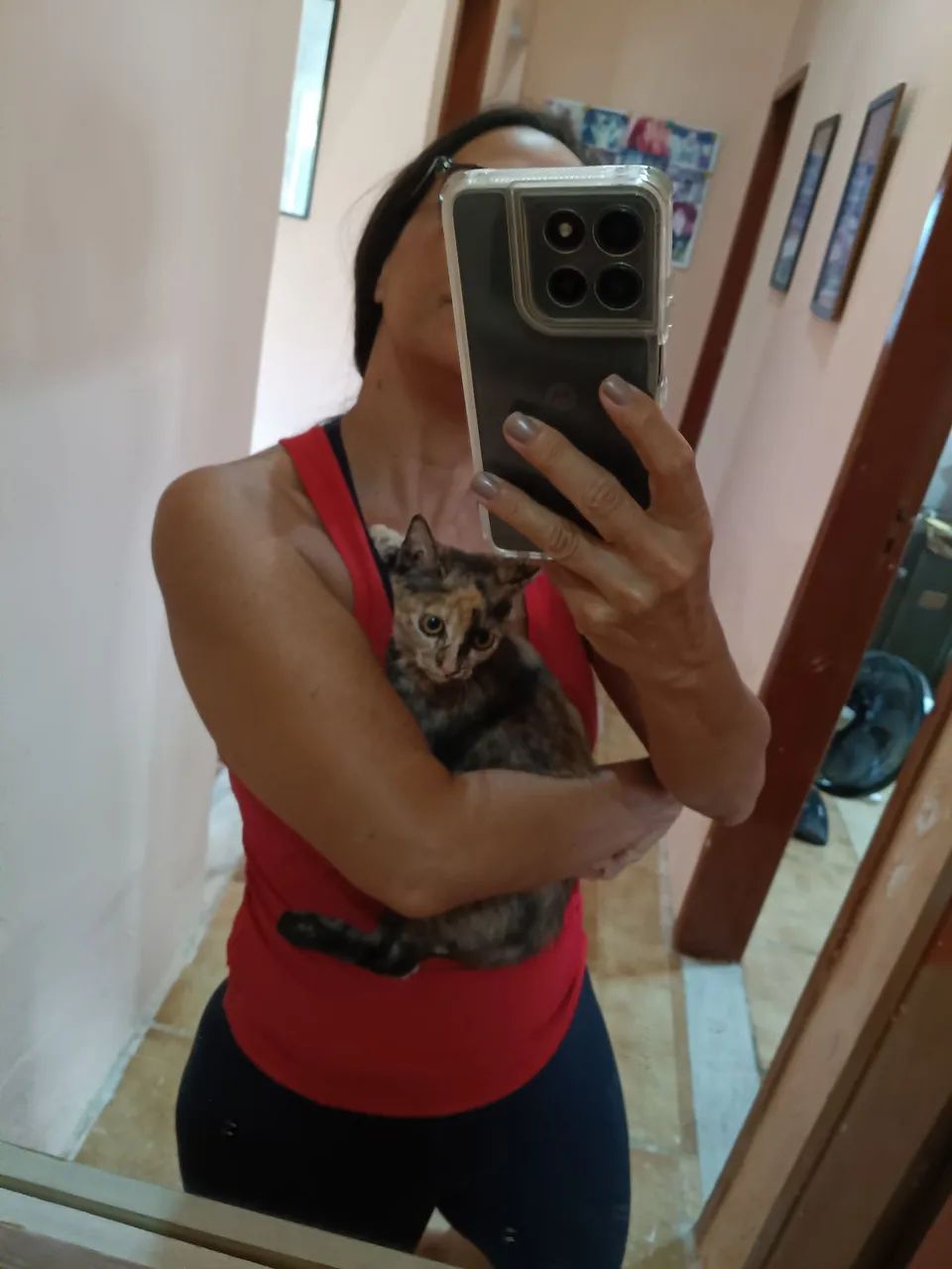 Gata - Foto 3