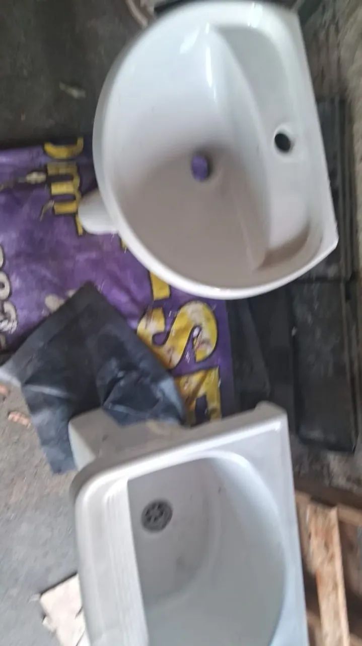 Bathroom and Laundry Sink65060152982914122