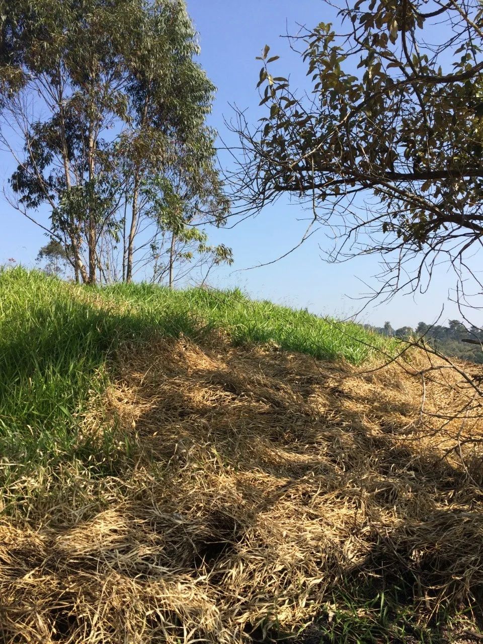 TERRENO COMERCIAL em ITAPECERICA DA SERRA - SP, DA LAGOA - Foto 4