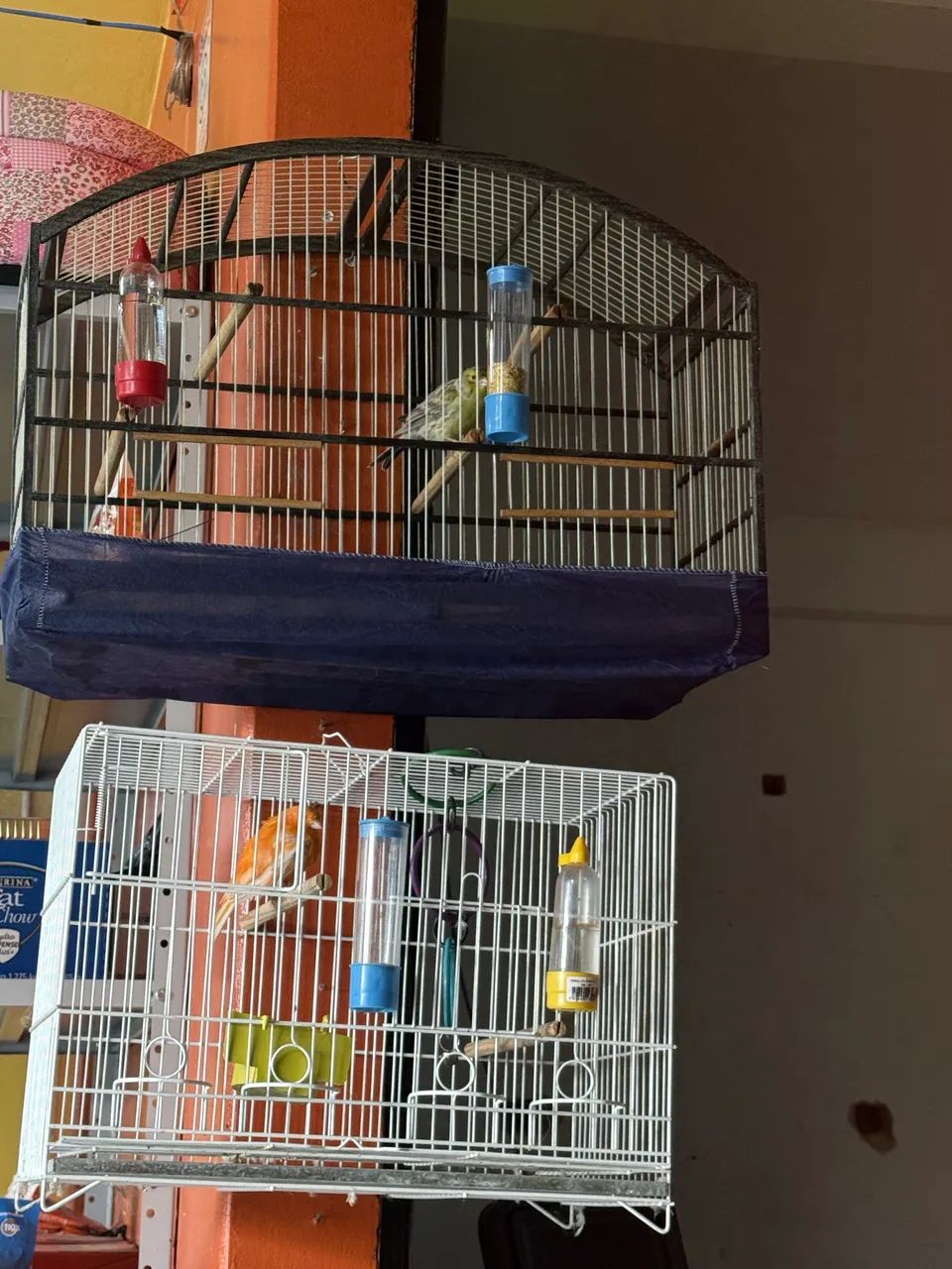Gaiolas 