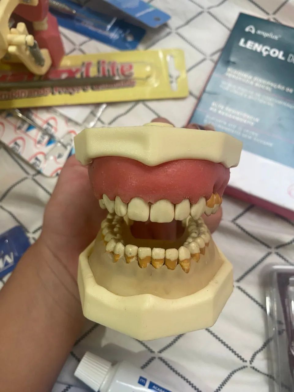 Kit de Modelos Odontológicos para Estudo - Usados - Foto 4