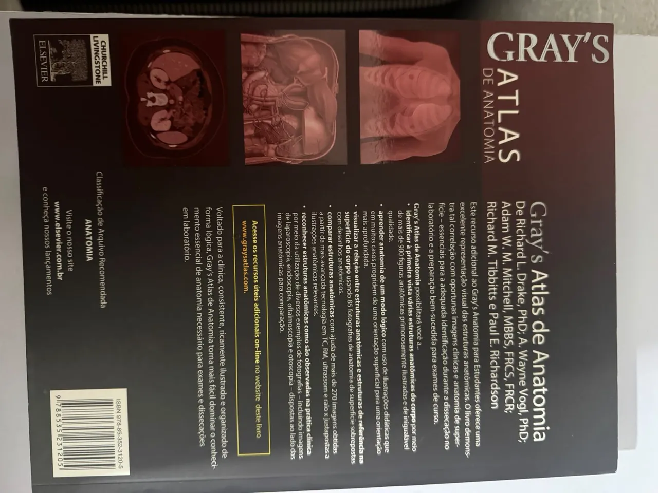gray anatomia