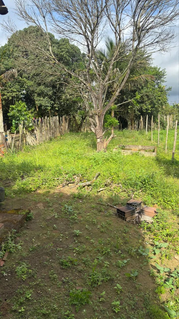 Casa com terreno 8x35 em Branquinha, P3 - Foto 2
