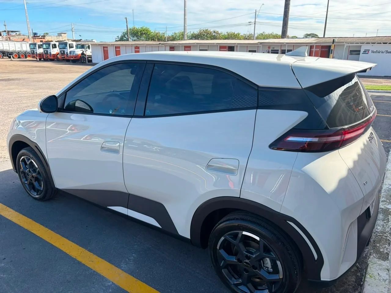 BYD Dolphin GS (Elétrico) 2027 - Foto 4
