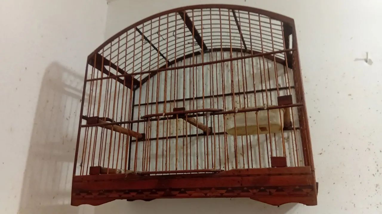 Vendo gaiola de passarinho  - Foto 3
