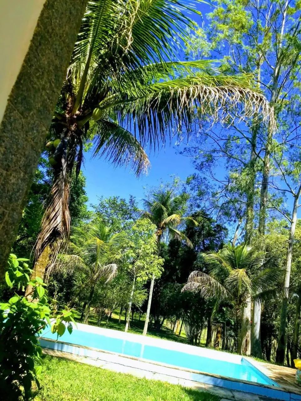 Fazenda em Silva Jardim/RJ  - Foto 5