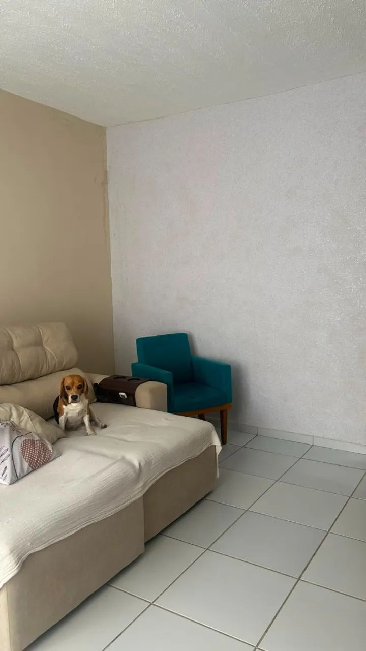 Casa 3 quartos, Ecopark 5, condomínio fechado. - Foto 4