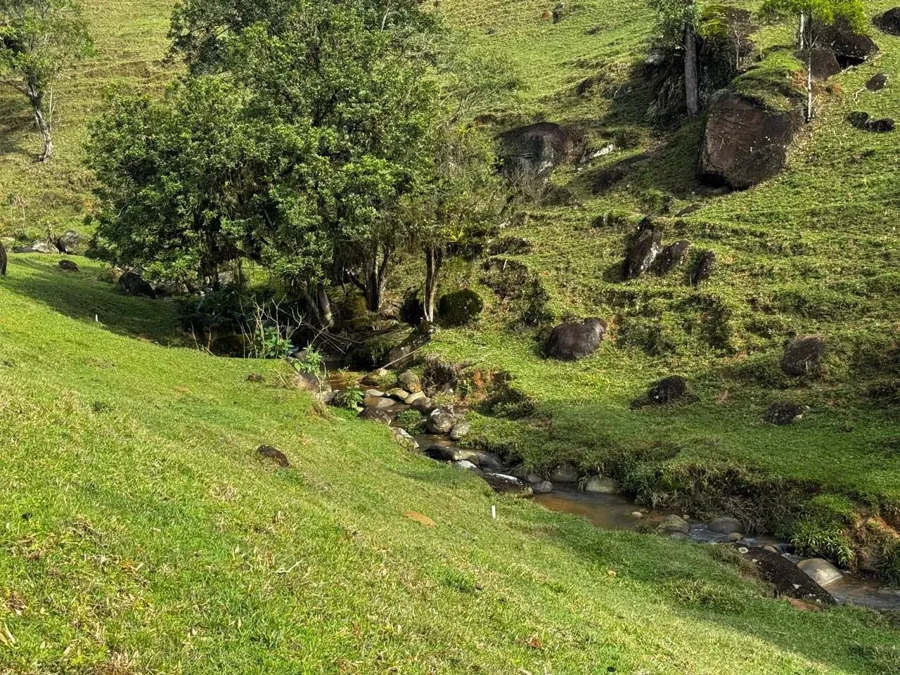 Sitio com Escritura Publica em Águas Mornas - SC - Foto 2