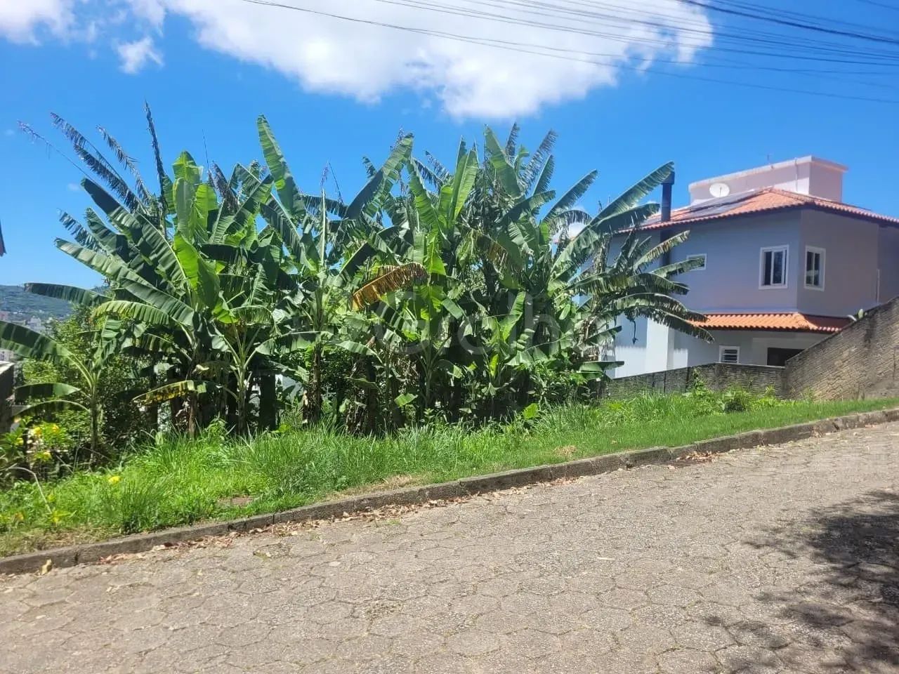 Imóvel para venda com 750 metros quadrados em Trindade - Florianópolis - SC - Foto 4