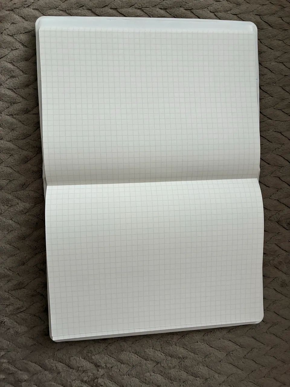Caderno Capivara - Foto 3