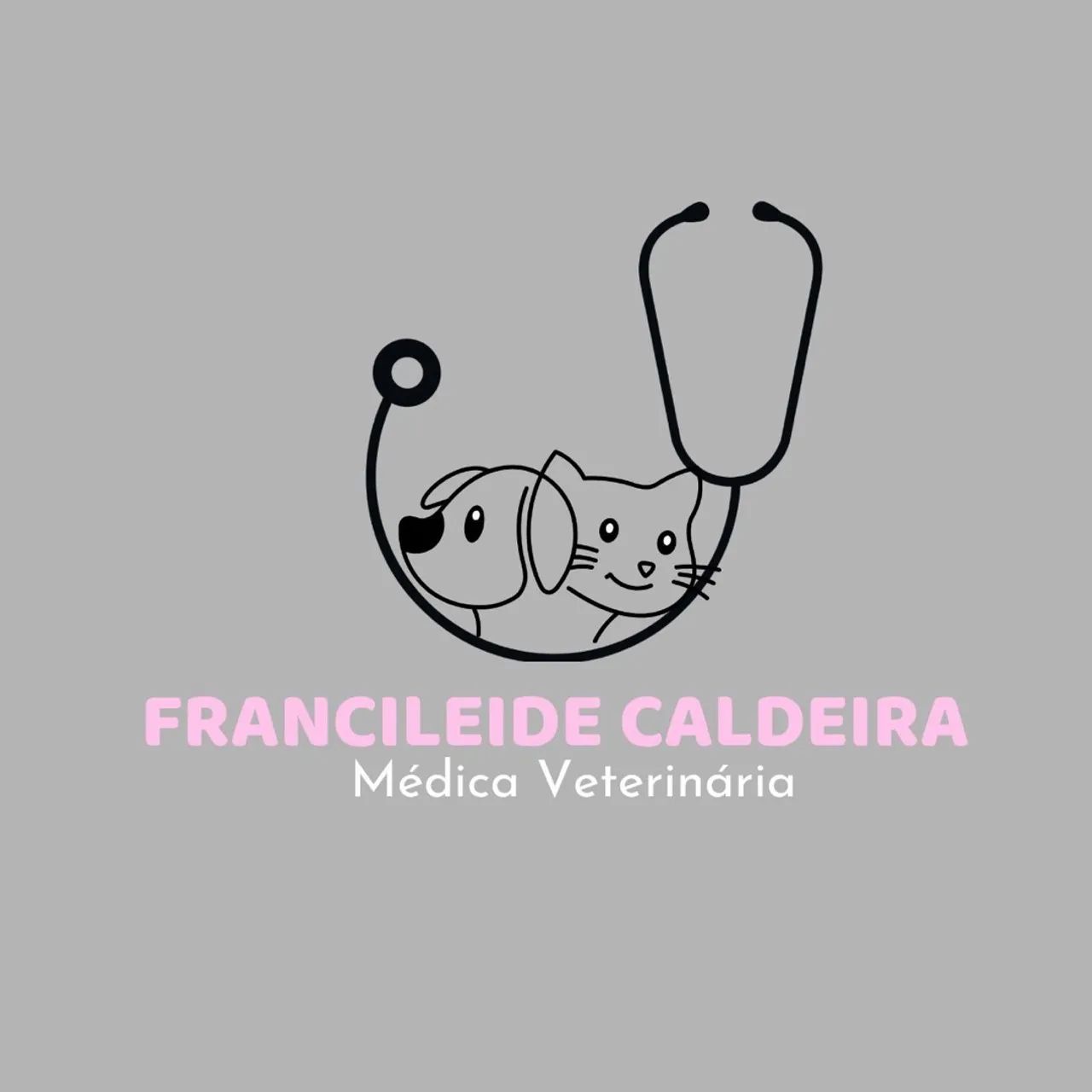 Médica Veterinaria Domicíliar - Foto 4