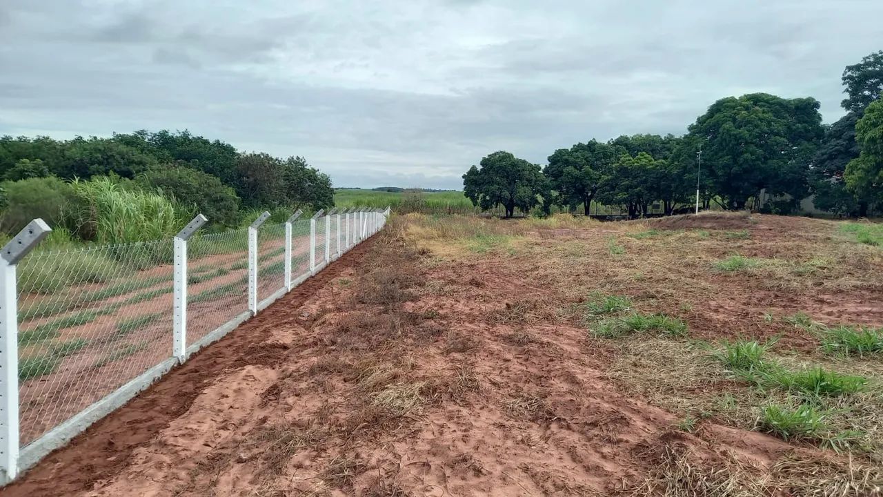 Chácara com casa de 4 quarto 3 banheiro em Paranacity PR oportunidade!!!  - Foto 4