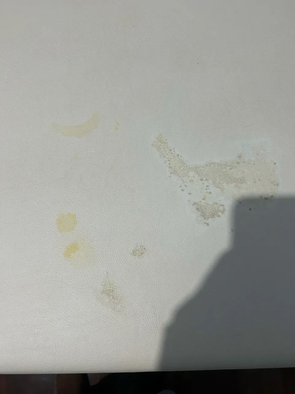 Maçã - Foto 5