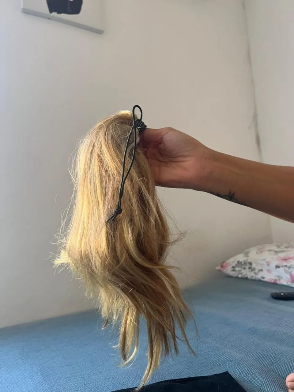 Rabo de cavalo loiro  - Foto 2