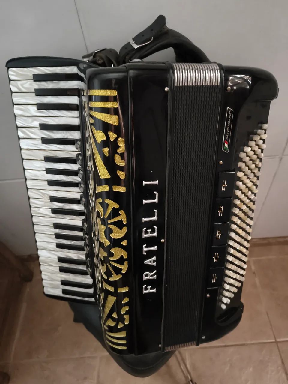 Acordeon 