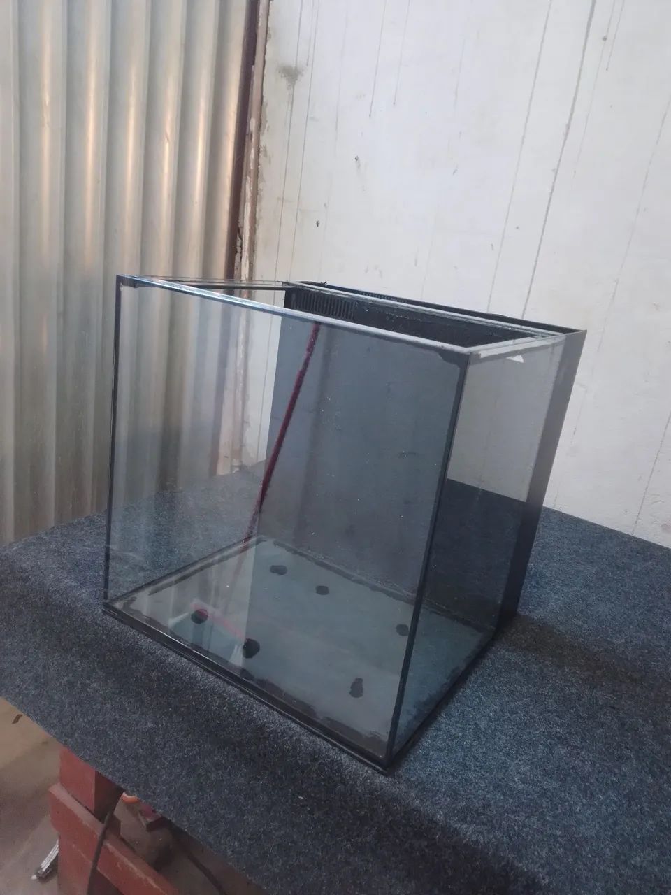 Aquário novo  - Foto 4