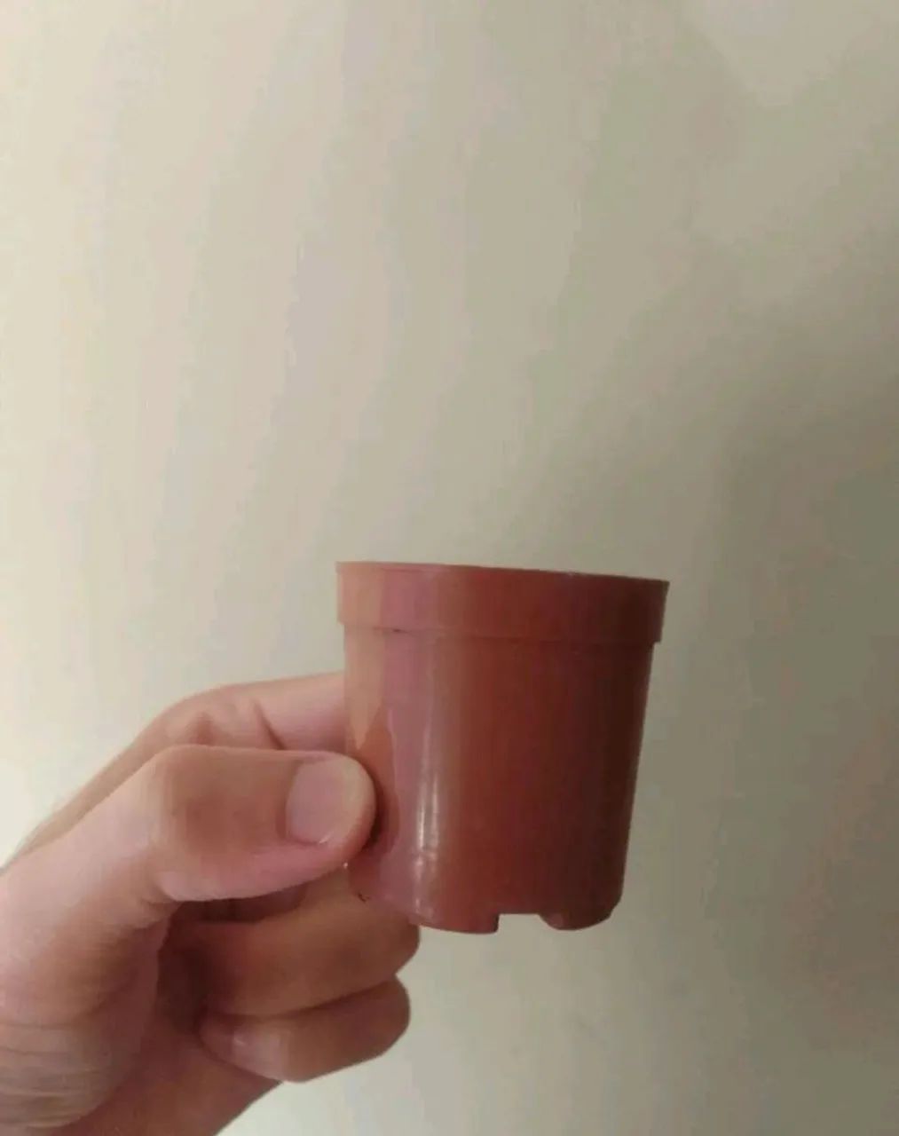 Mini Vasinhos.  - Foto 3