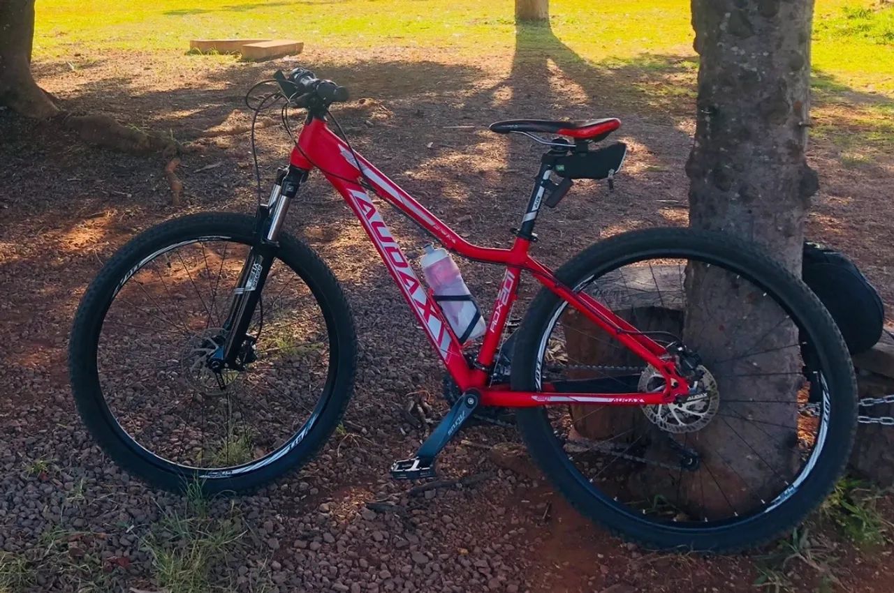 Vendo MOUNTAIN BIKE AUDAX 