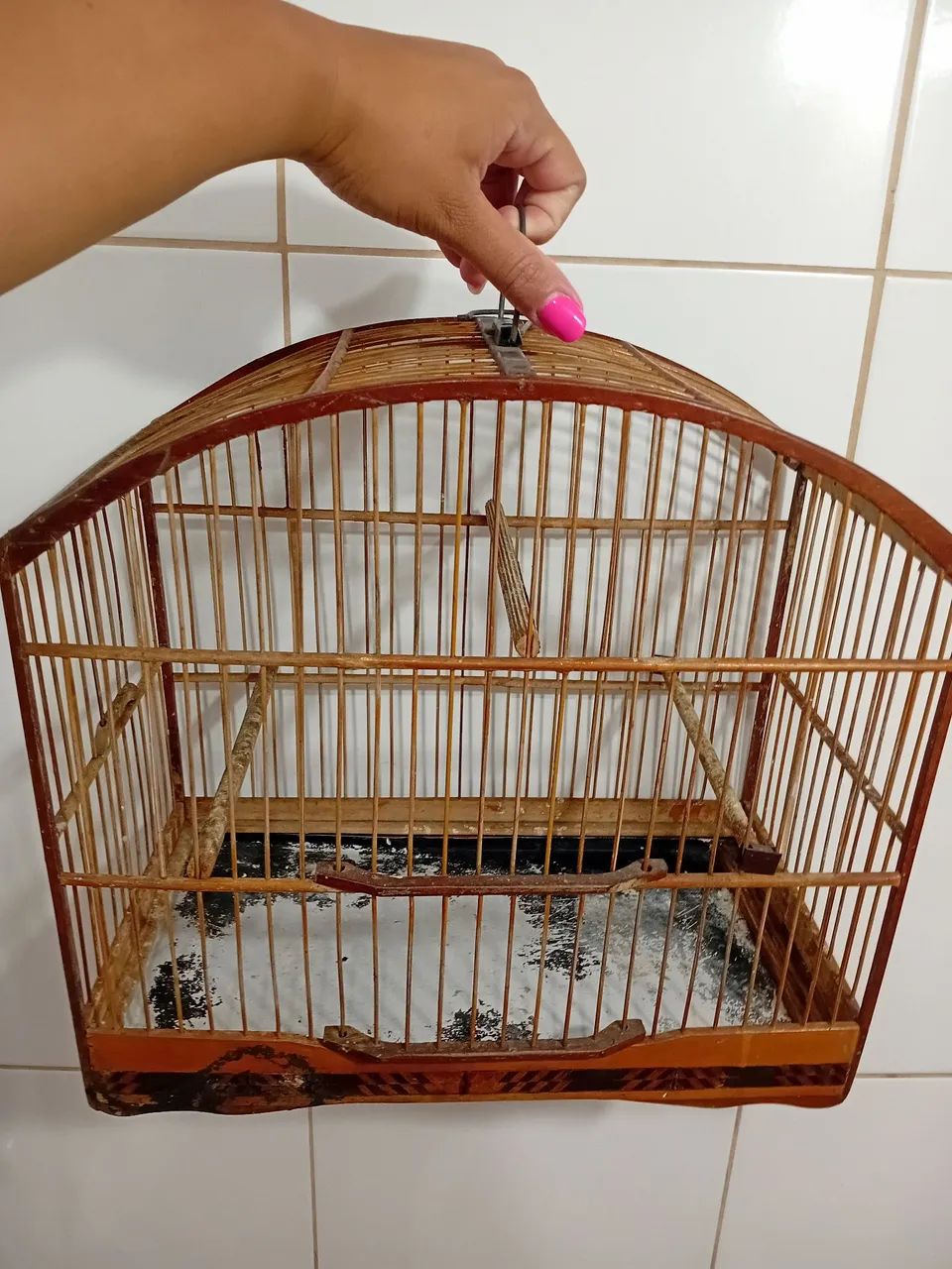 Gaiolas diversos modelos - Foto 4