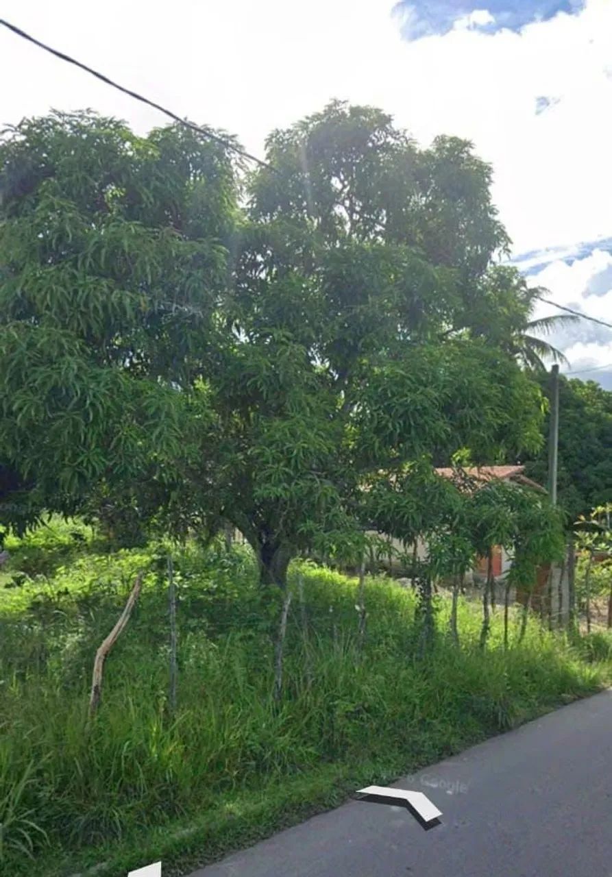 TERRENO A VENDA - Foto 2