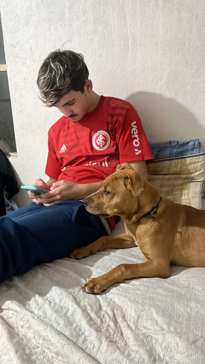 Doação responsável de filhote  - Foto 2