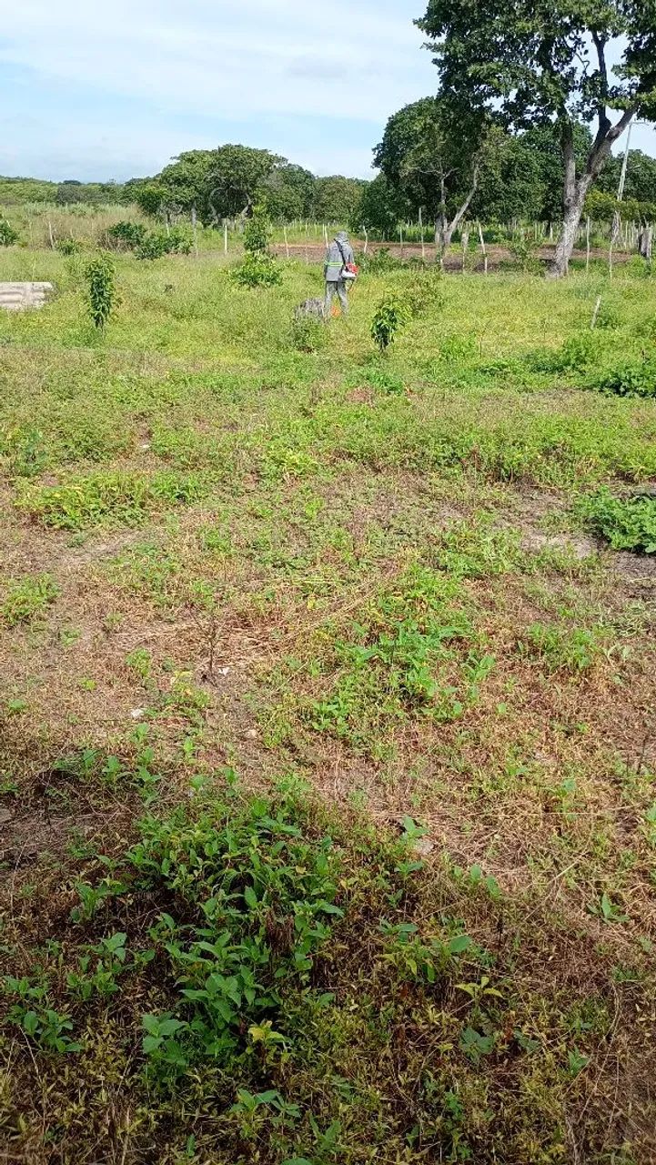 Terreno em Caraúbas  - Foto 2