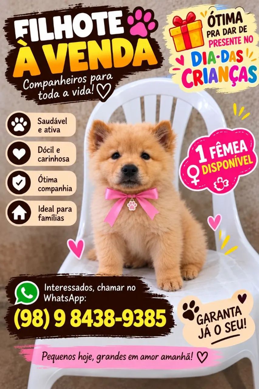 Chow chow
