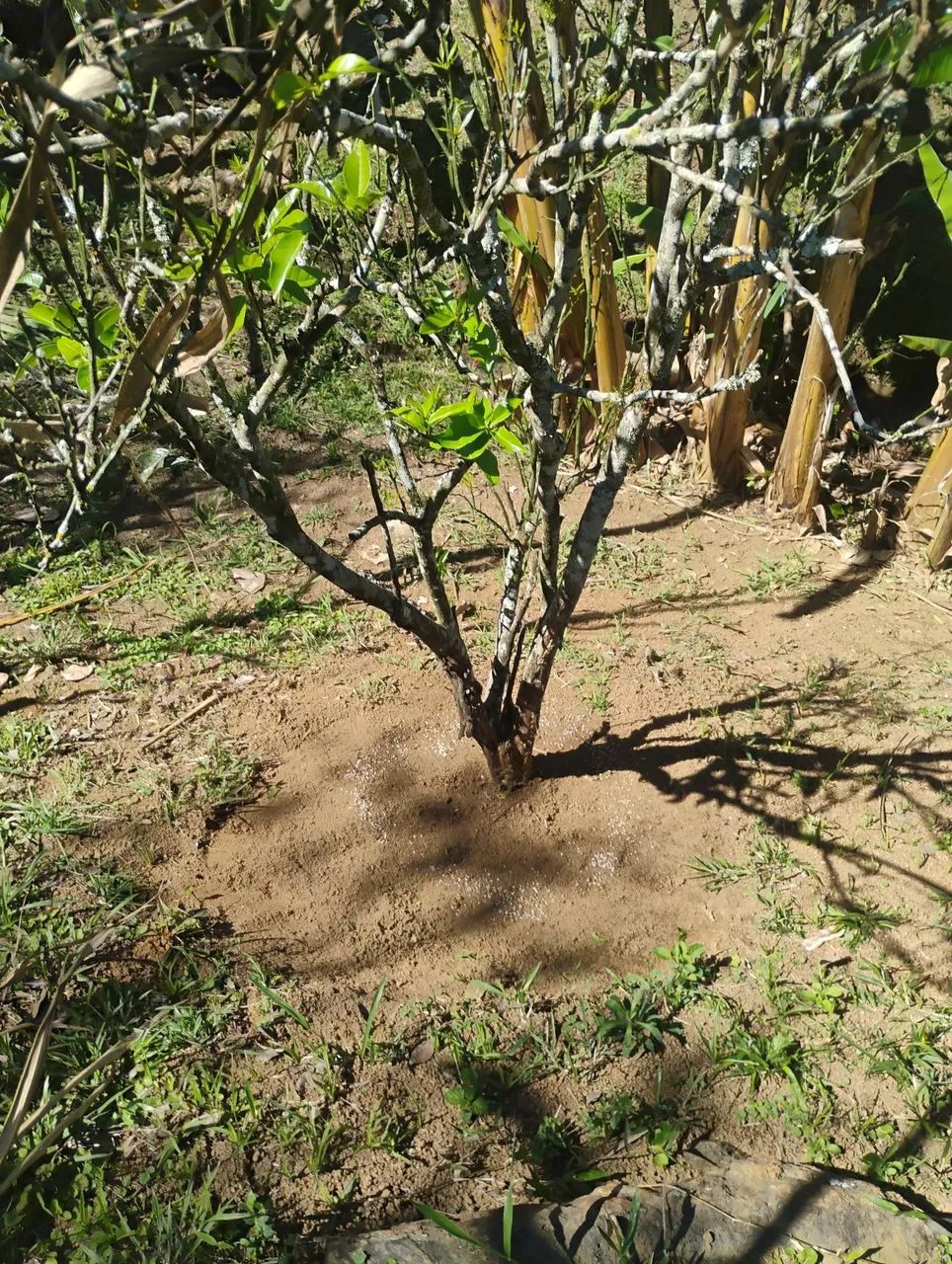 Serviço gerais  - Foto 3