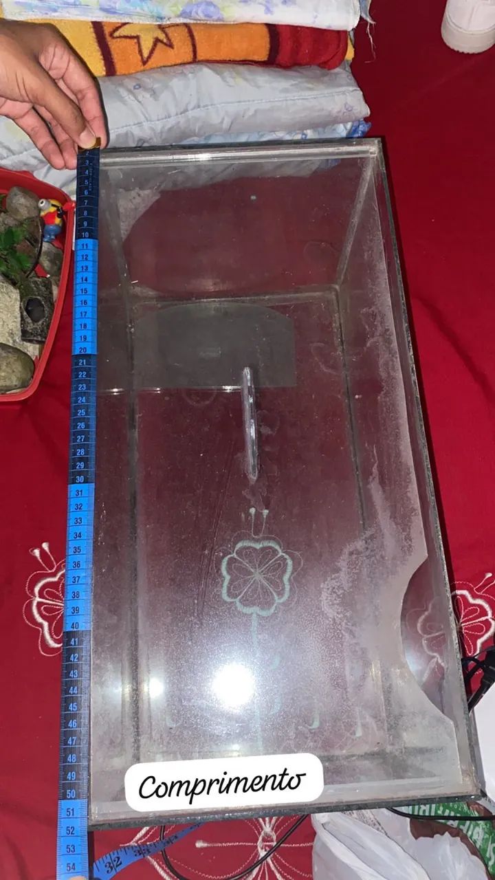 Aquário completo - Foto 5